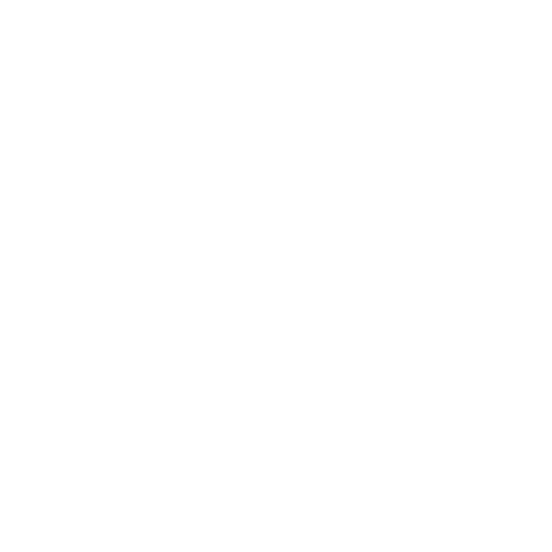 Unicargo inc